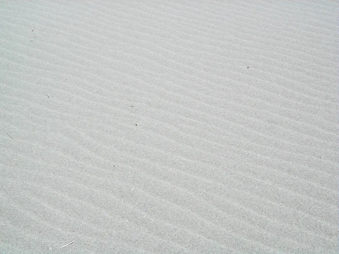 Bruneau Dunes State Park