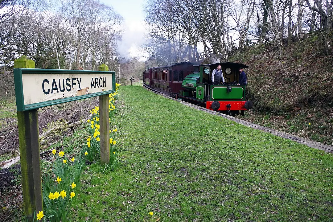Causey Arch