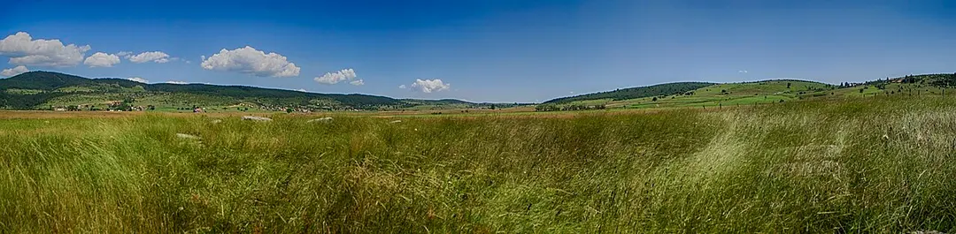 Luburić field necropolis