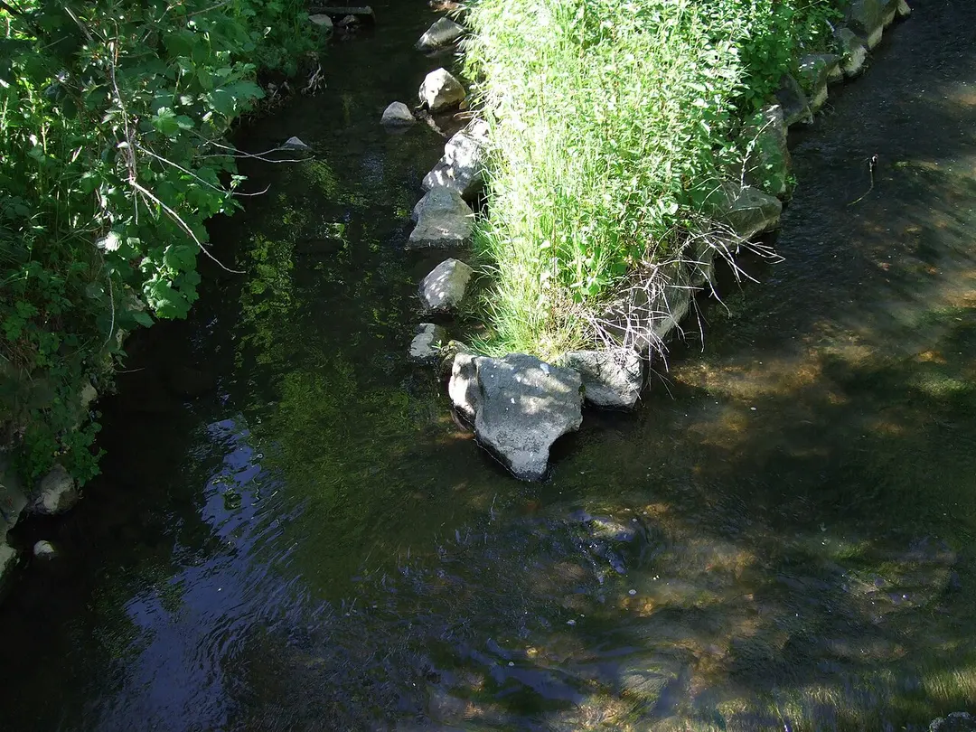 Sauerbornsbach