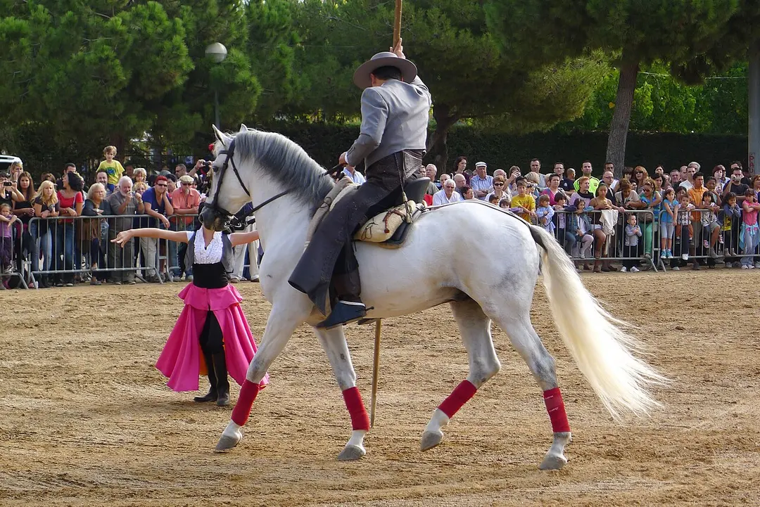 Parc de Montigalà