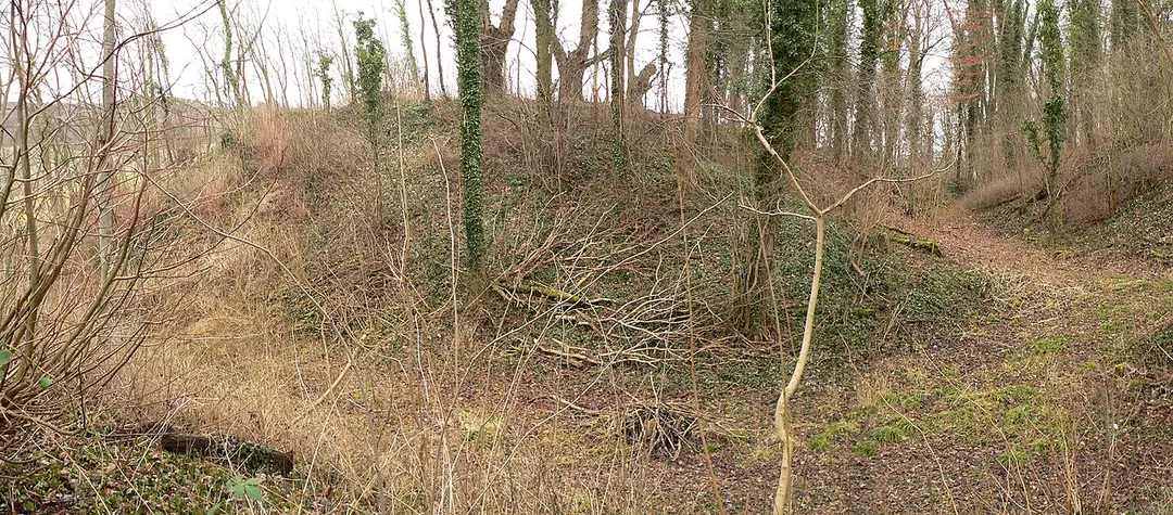 Burg Friedland