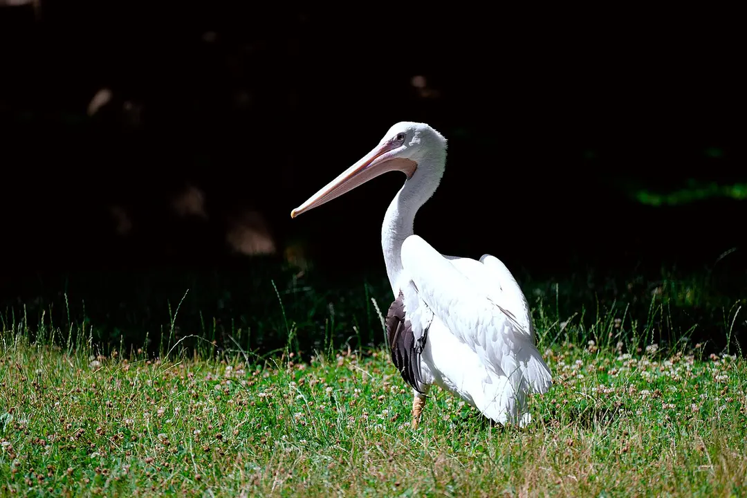 Milwaukee County Zoo