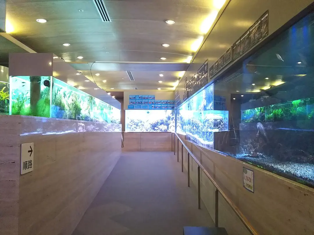 熱帯環境植物館