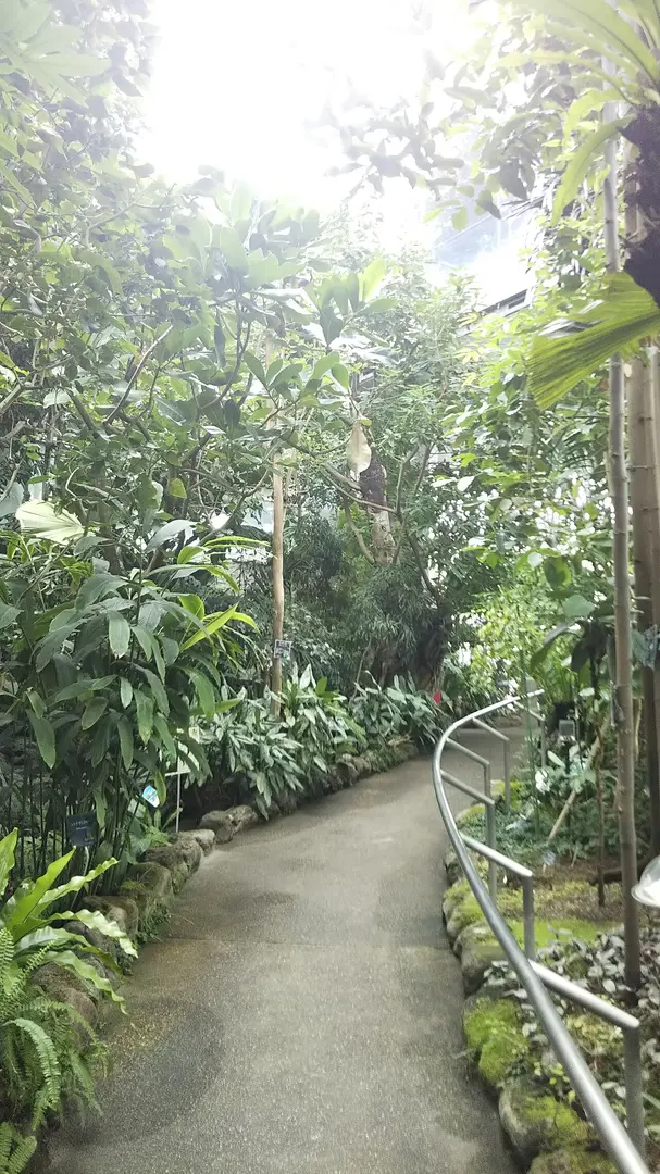 熱帯環境植物館