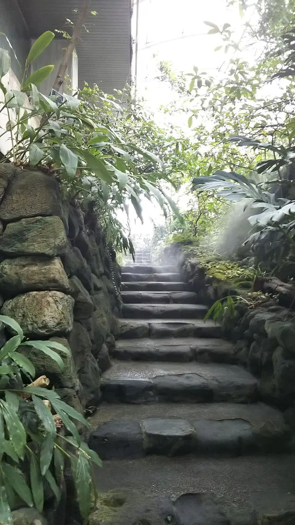 熱帯環境植物館