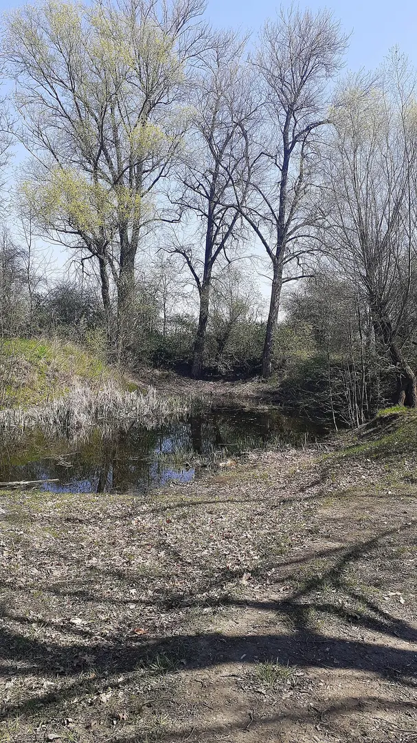 Bázlerova pískovna
