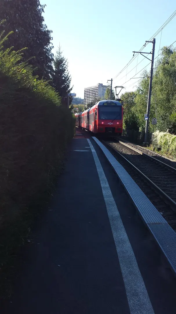 Zürich Friesenberg
