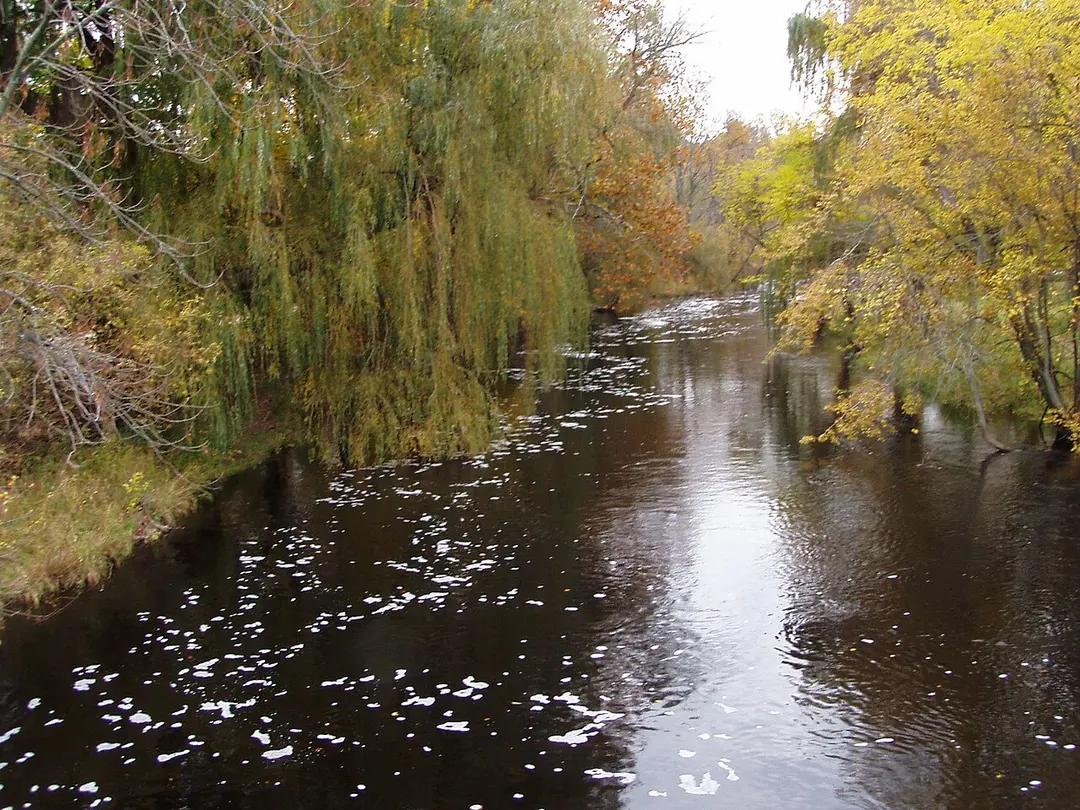 Paw Paw River