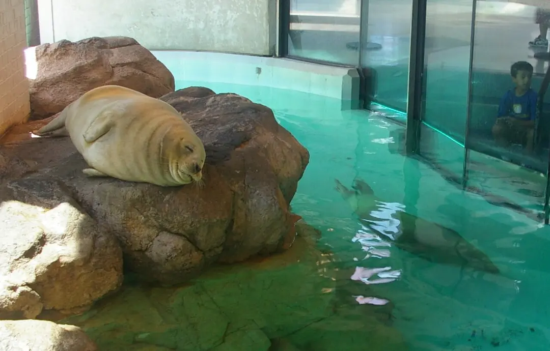 Maritime Aquarium