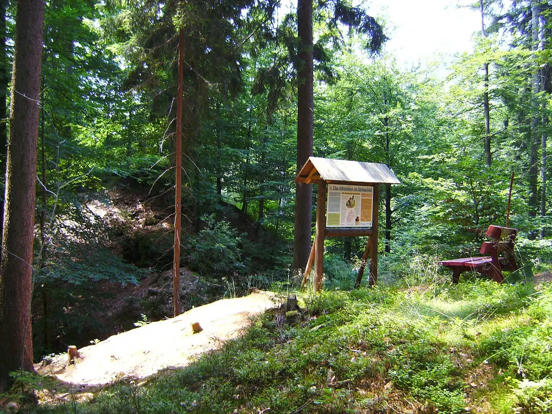 Ruine Wurzstein