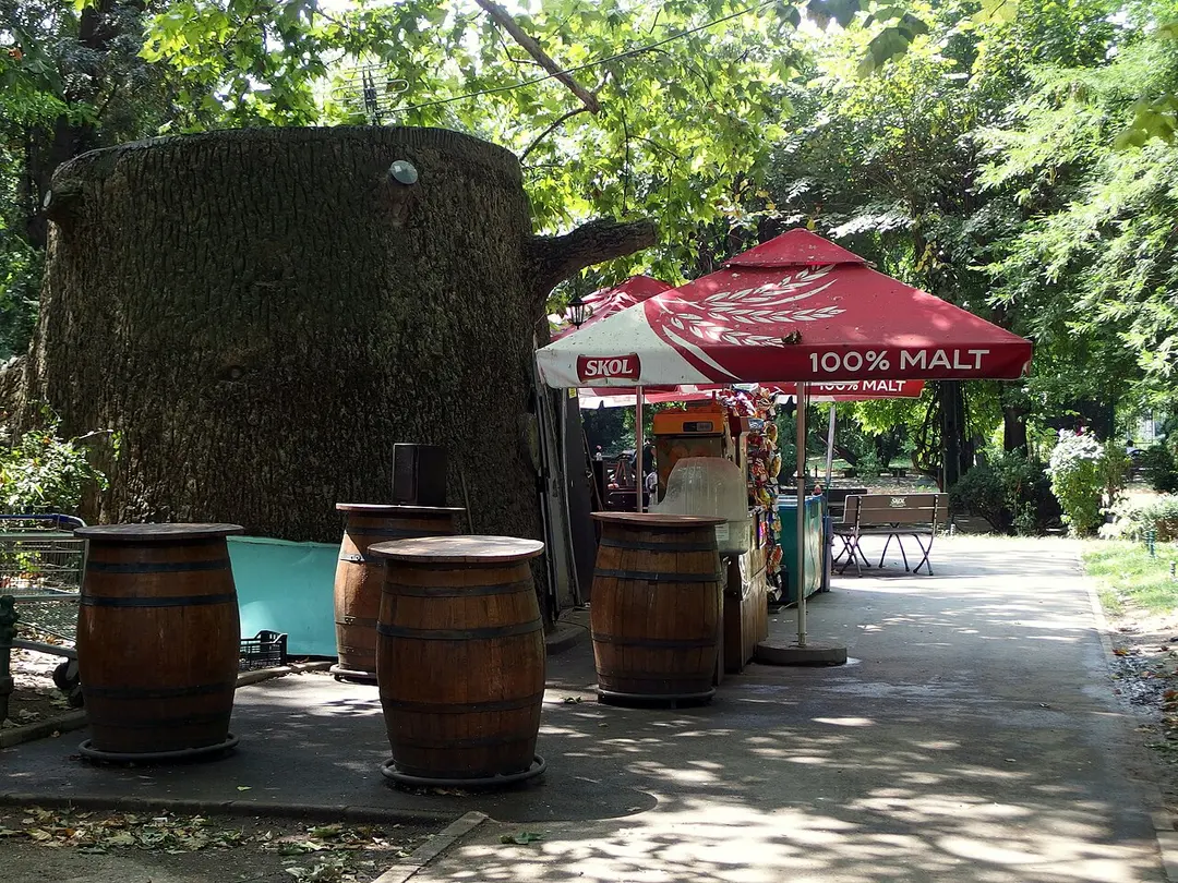 Cișmigiu-Park