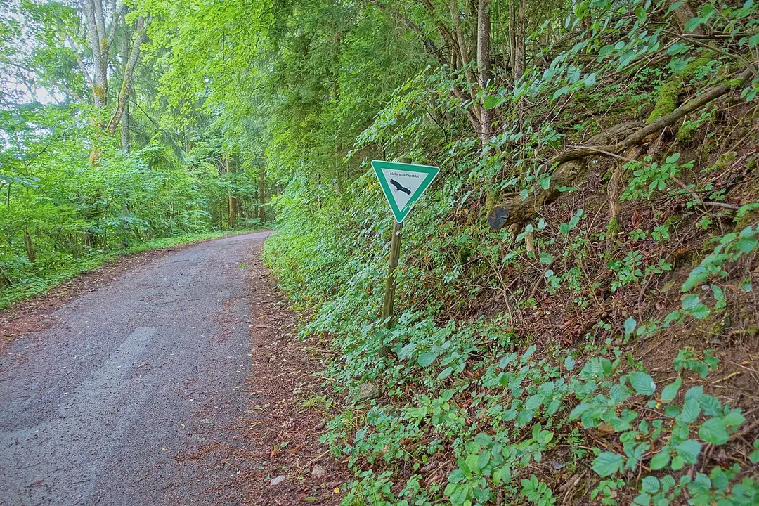 Vogtsberg