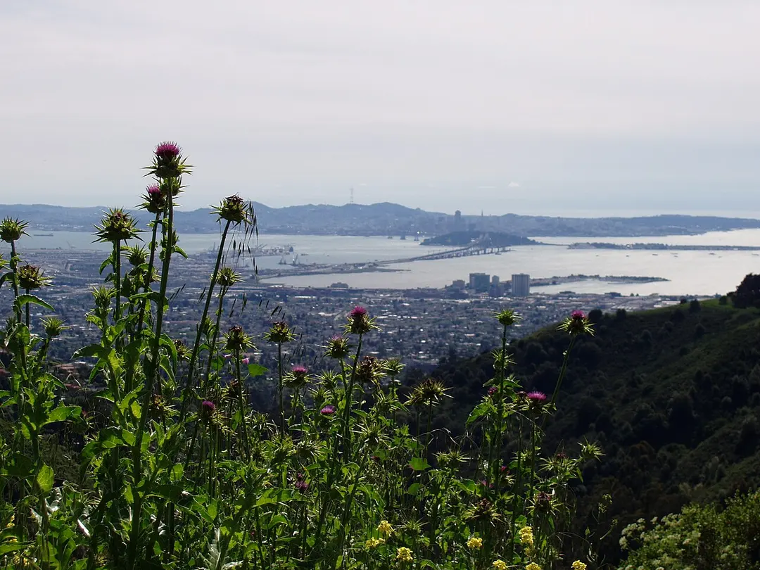 Tilden Regional Park