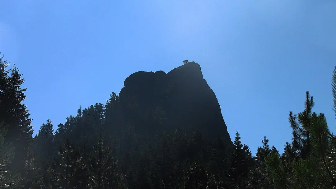 Pilot Rock
