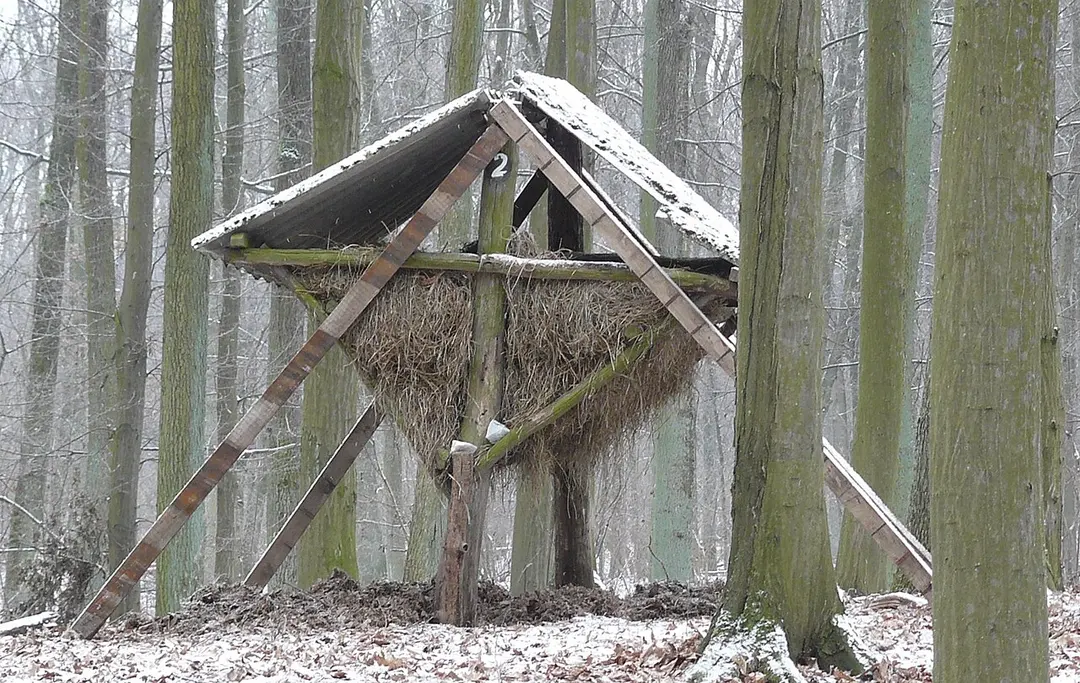 Rezerwat Duszniczki