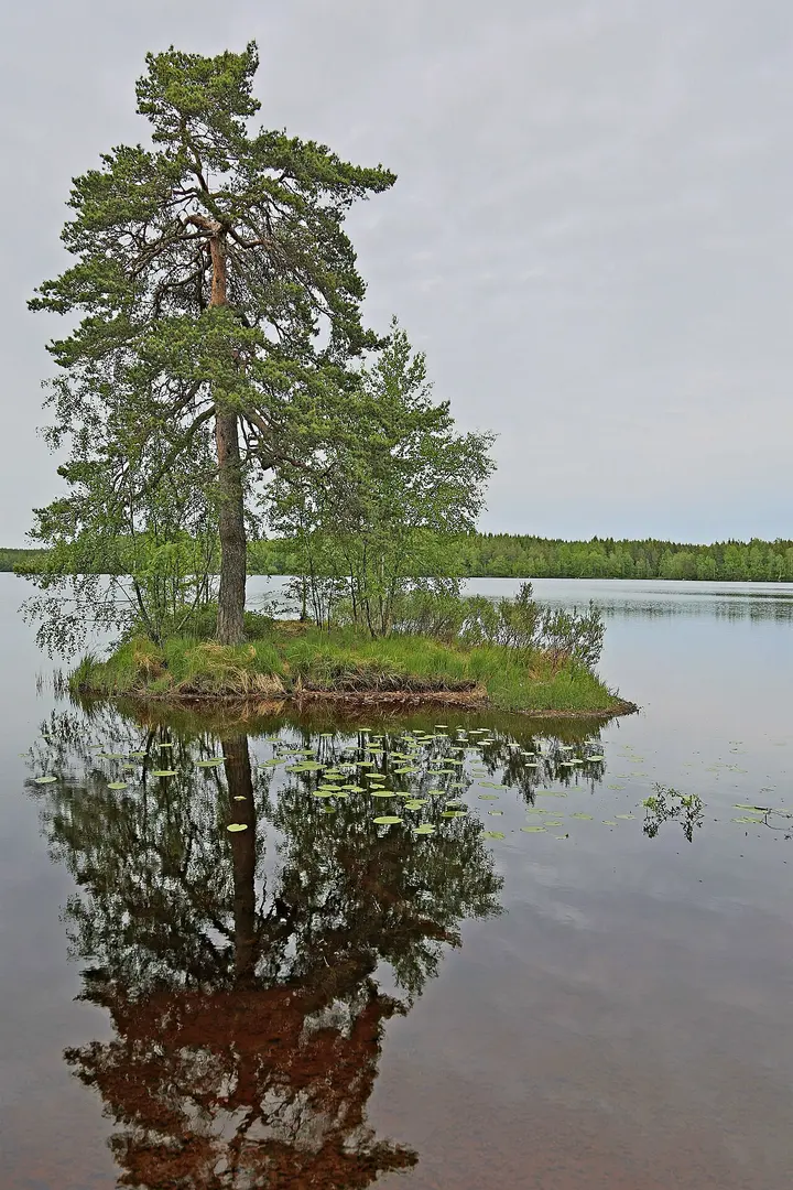 Orranäsasjön