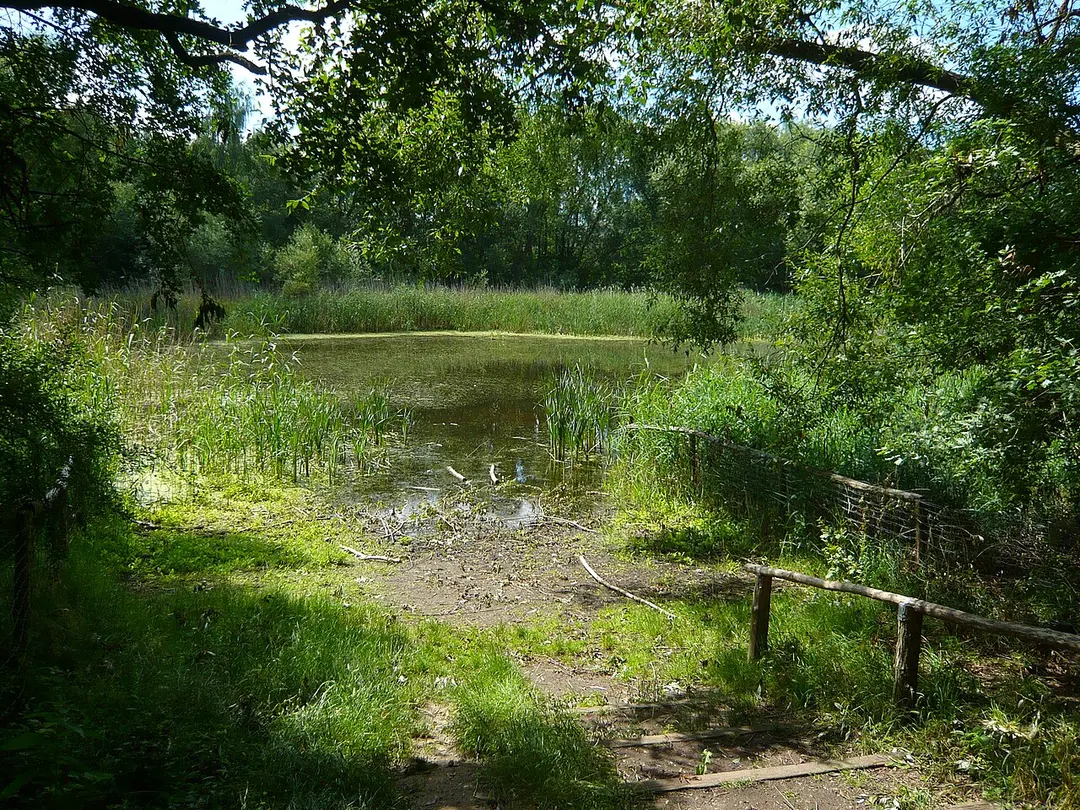 Schleipfuhl