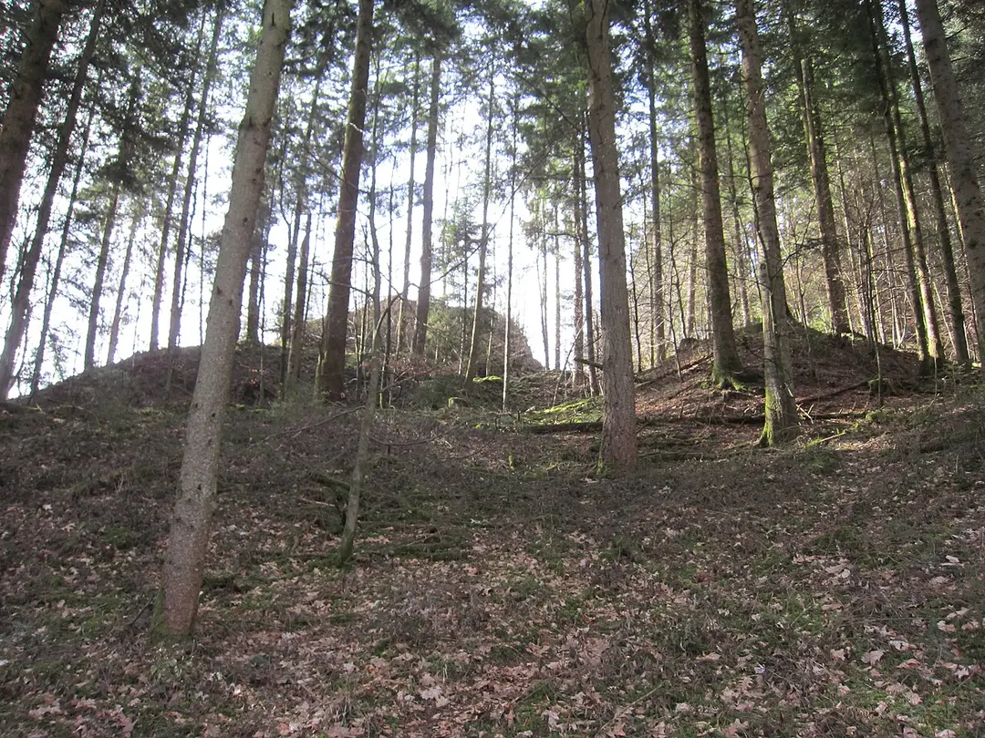 Burg Waldstein