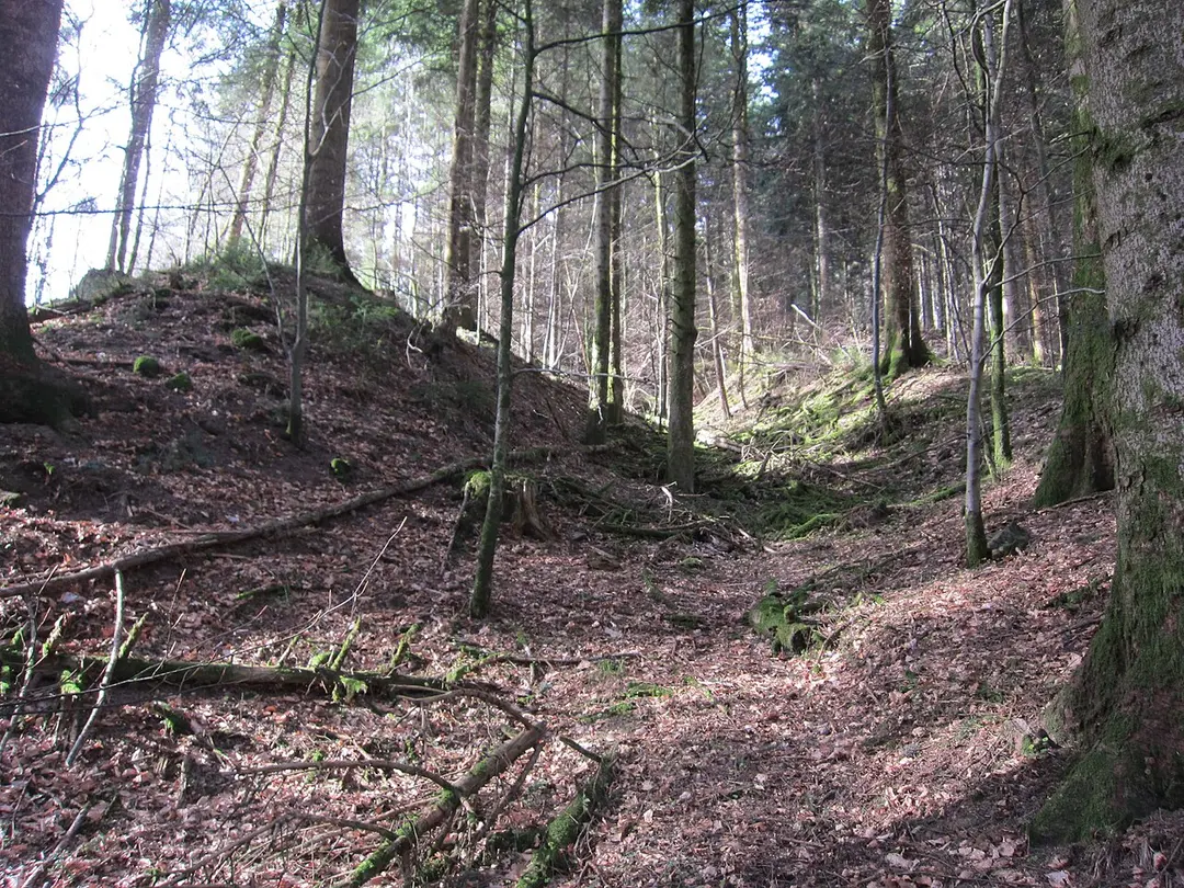 Burg Waldstein