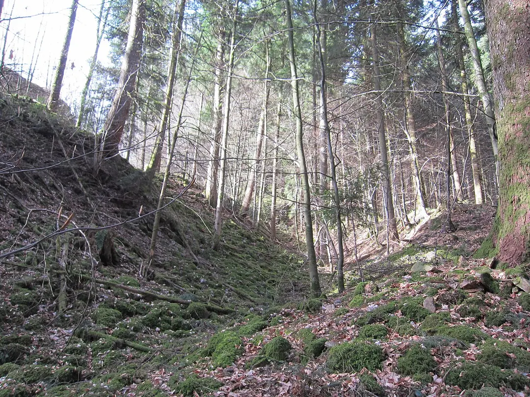 Burg Waldstein