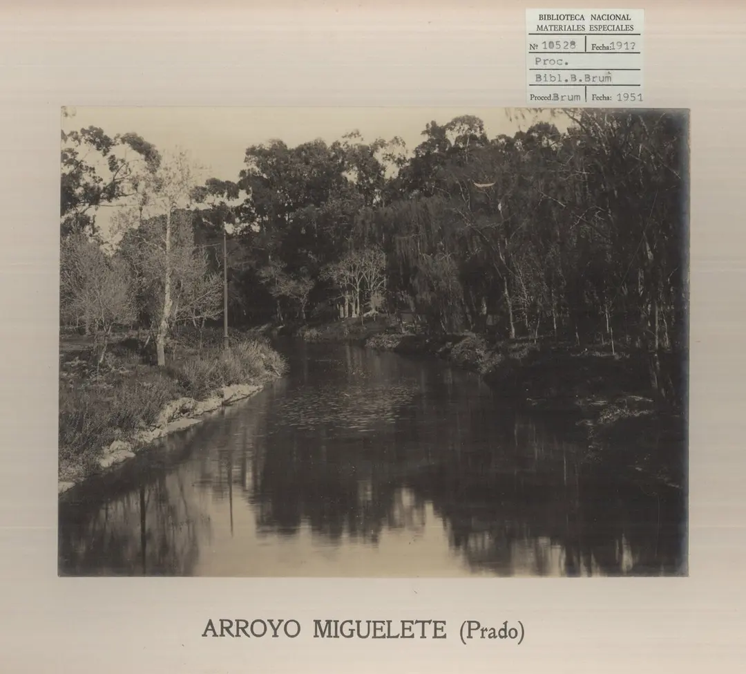 Arroyo Miguelete