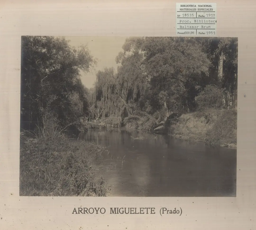 Arroyo Miguelete