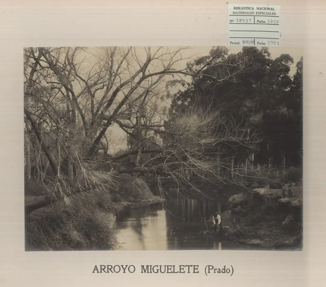 Arroyo Miguelete