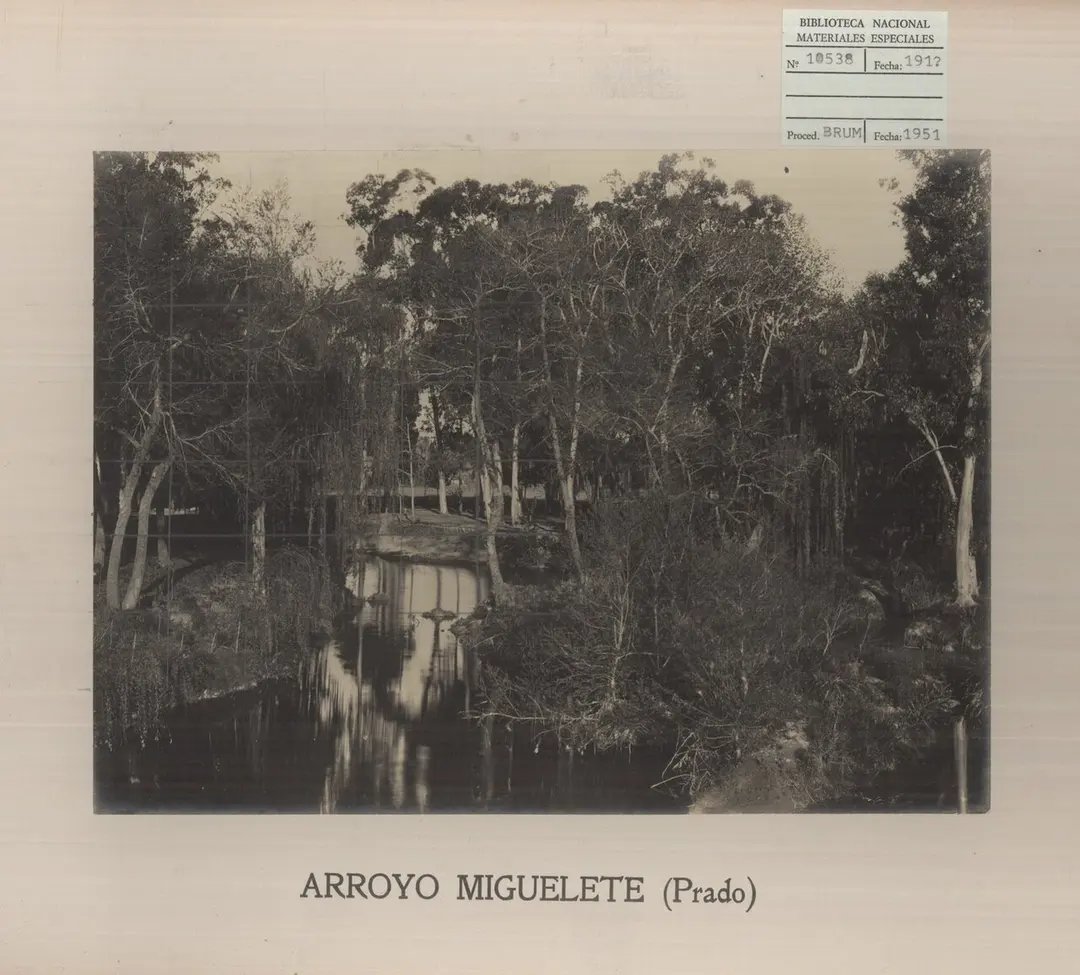 Arroyo Miguelete