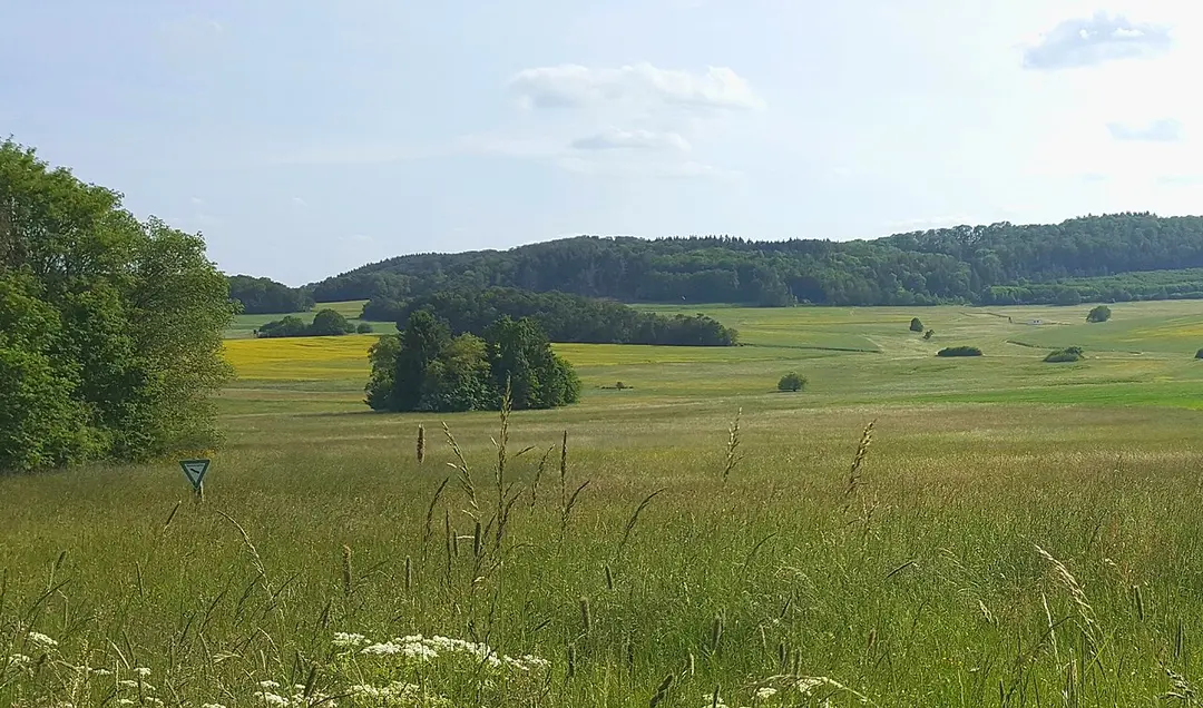 Brühl von Erda
