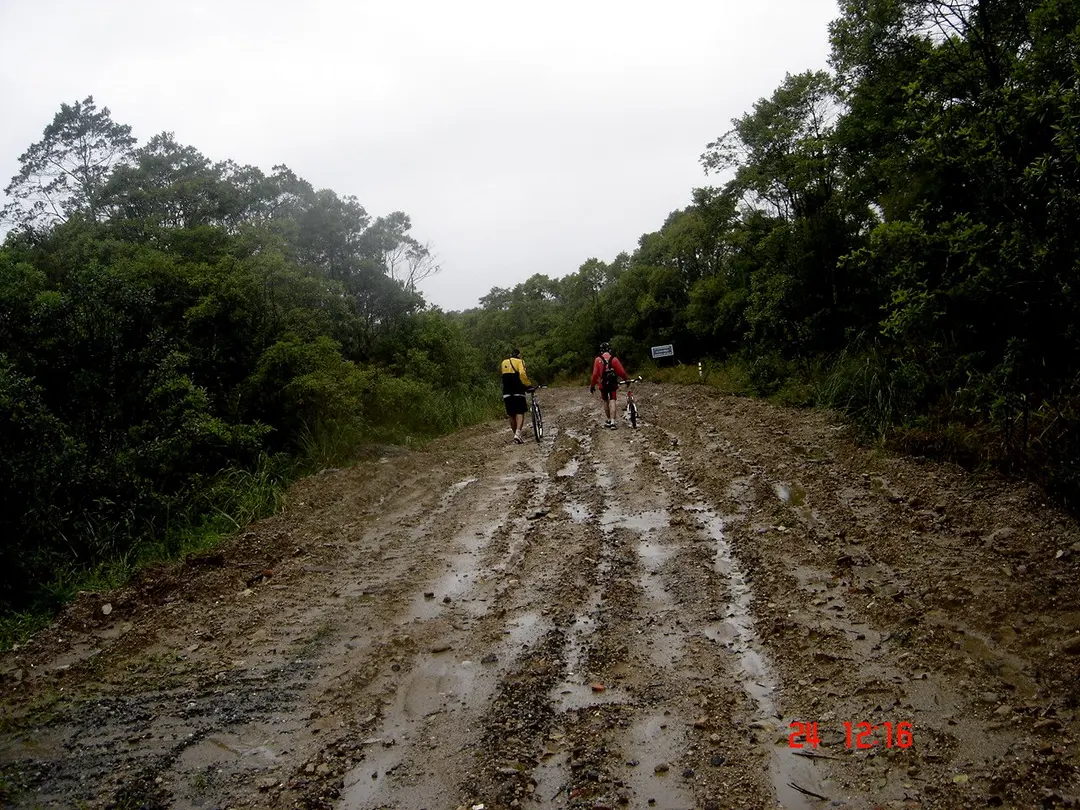 Estrada de Manutenção