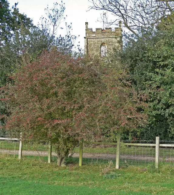 All Saints, Shawell