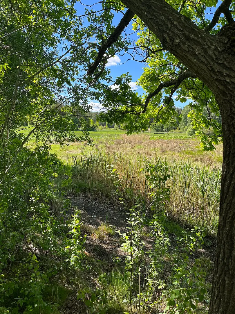 Vrinneviskogen Naturreservat