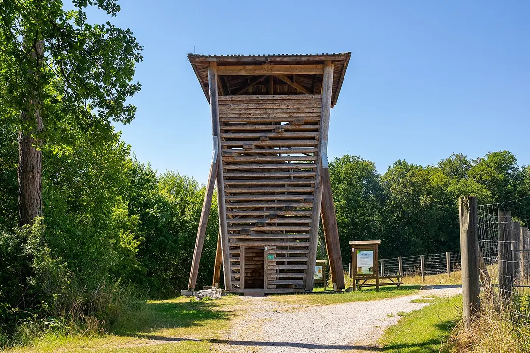 Wisent Turm