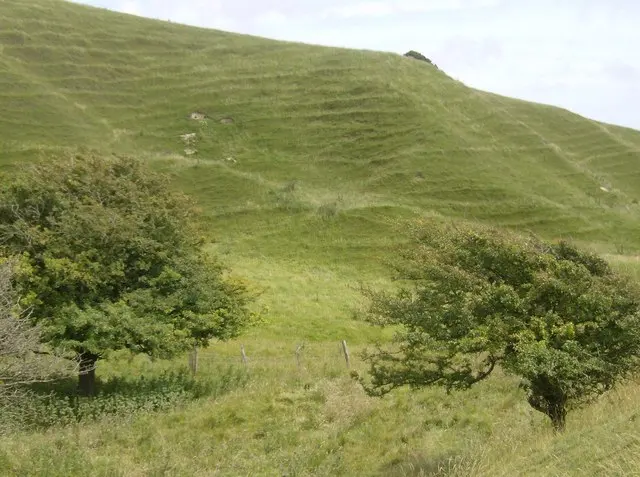 Chillerton Down