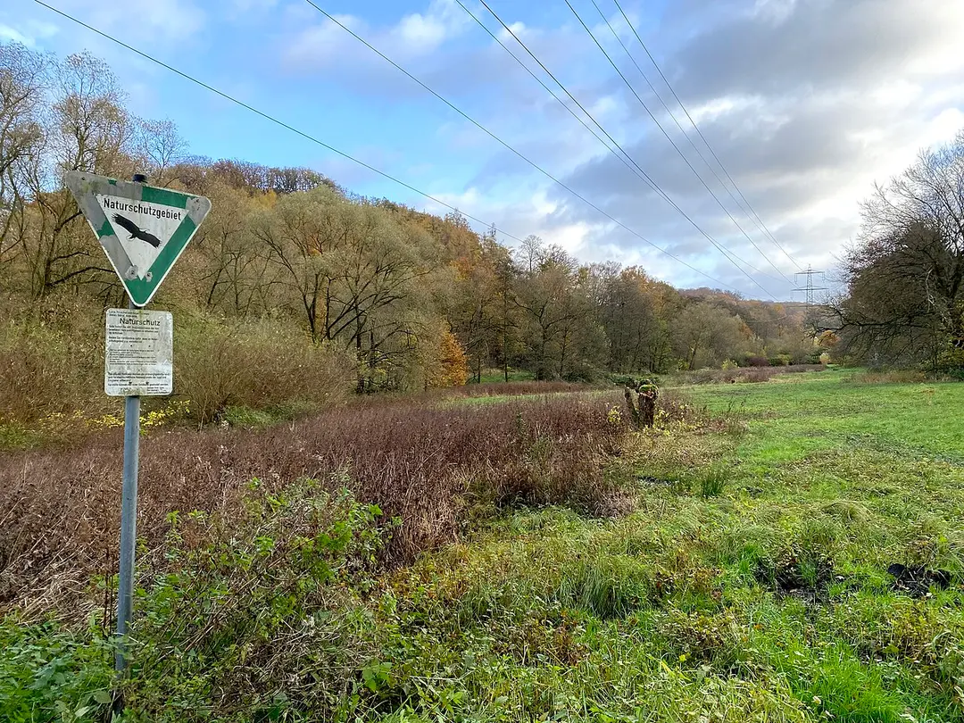 Unteres Sprockhöveler Bachtal