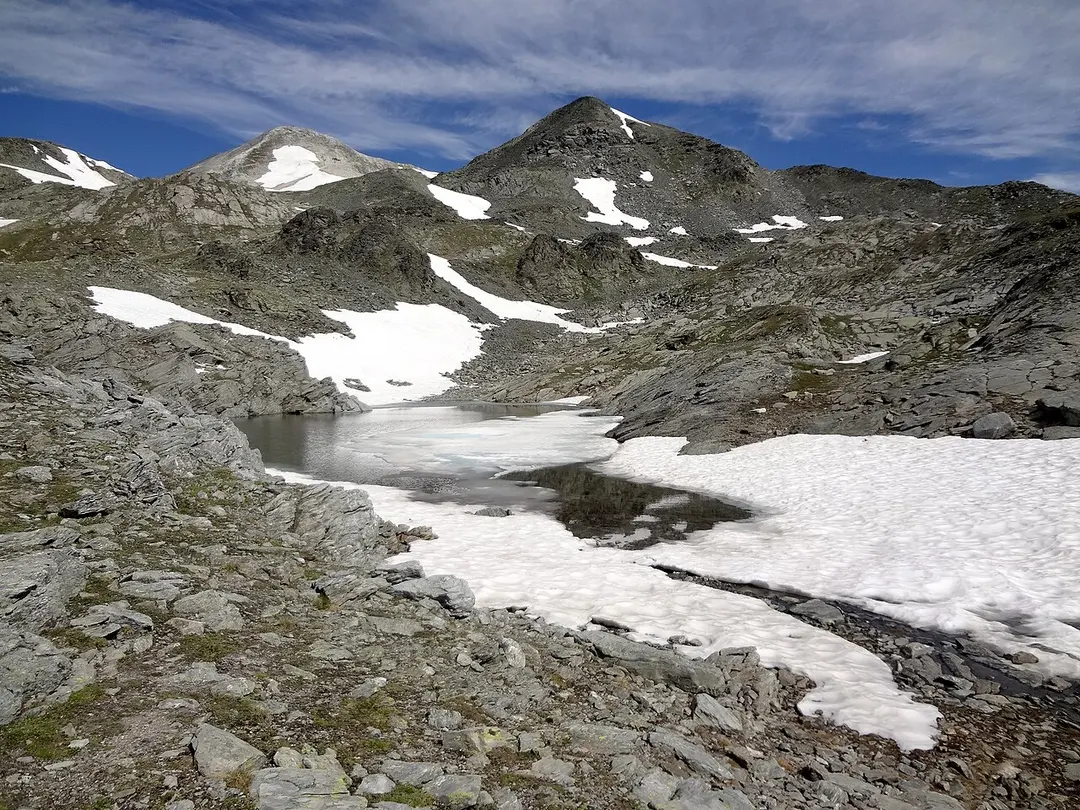 Bella Tola