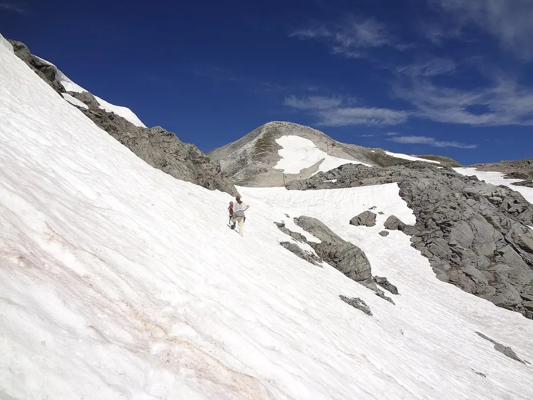 Bella Tola