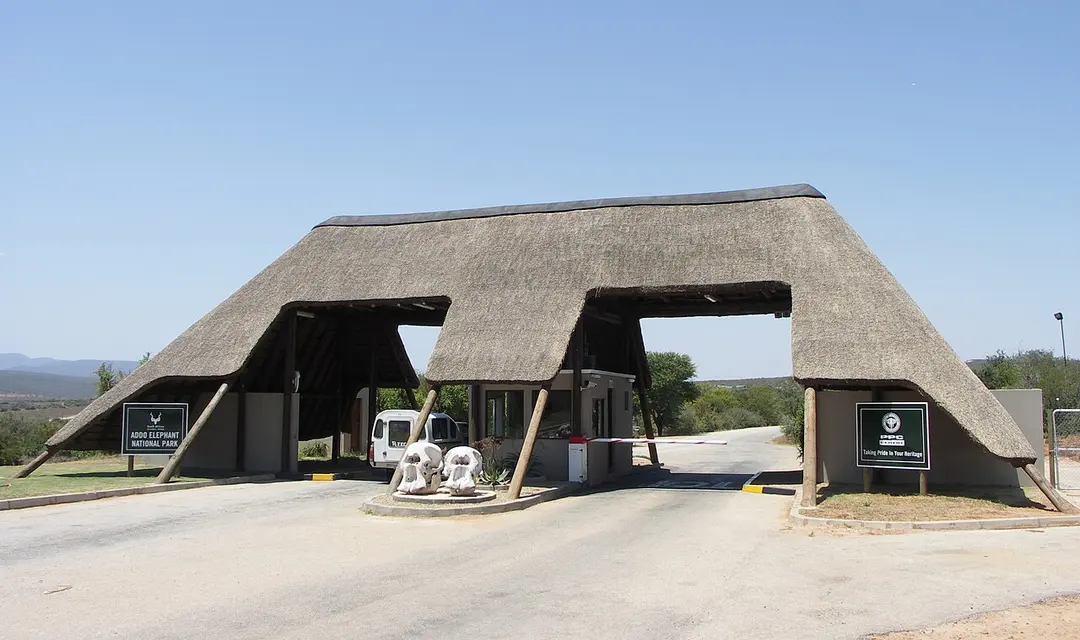 Addo Elephant National Park