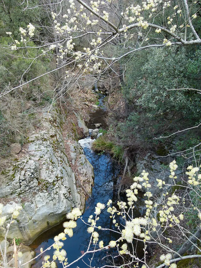 Pont d'en Pere Curt