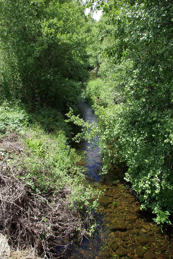 Valdesamario River