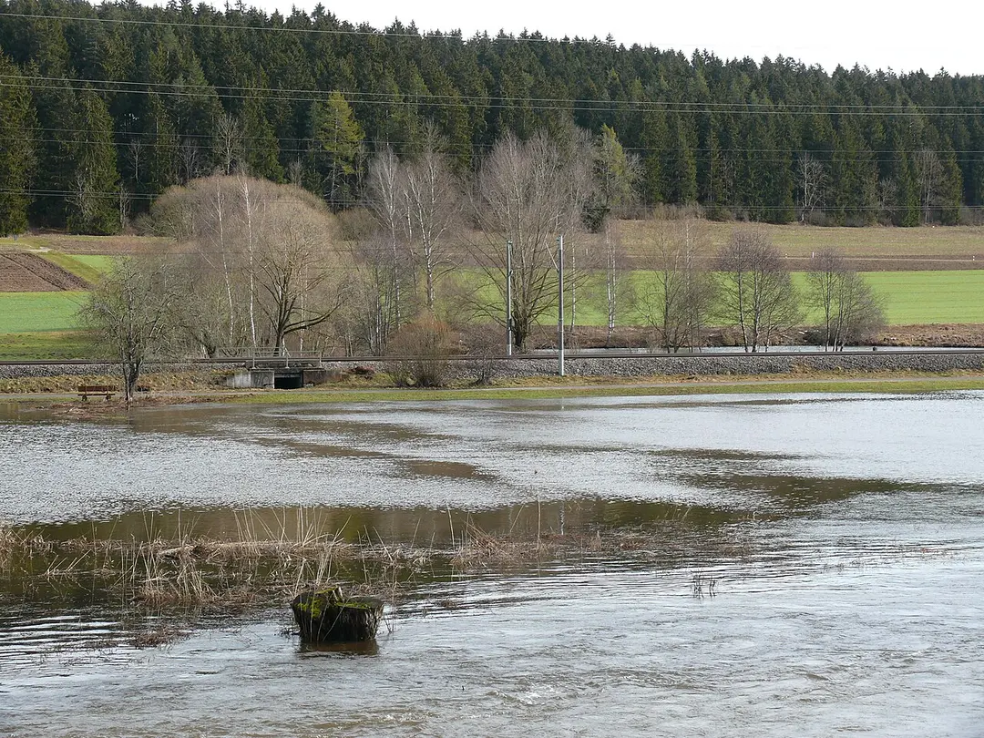 Grüninger Ried