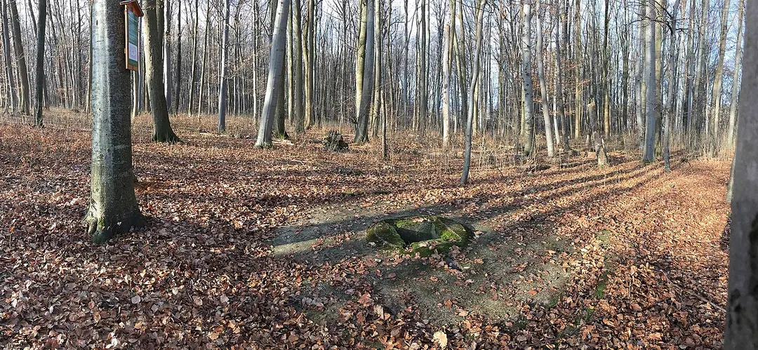 Bachem Natter Startrampe 3