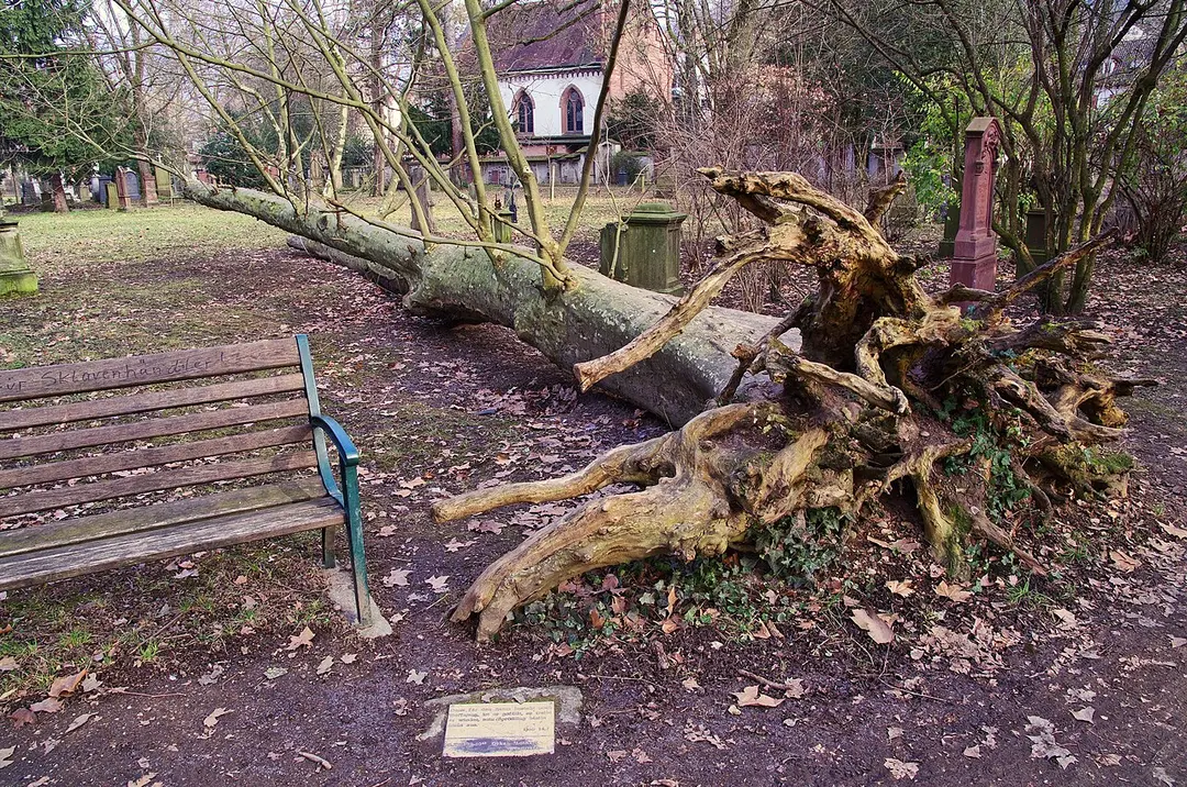 Alter Friedhof