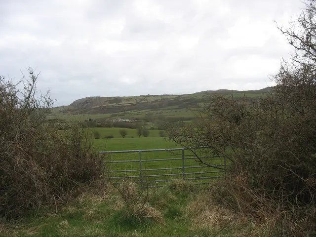 Mynydd Bodafon