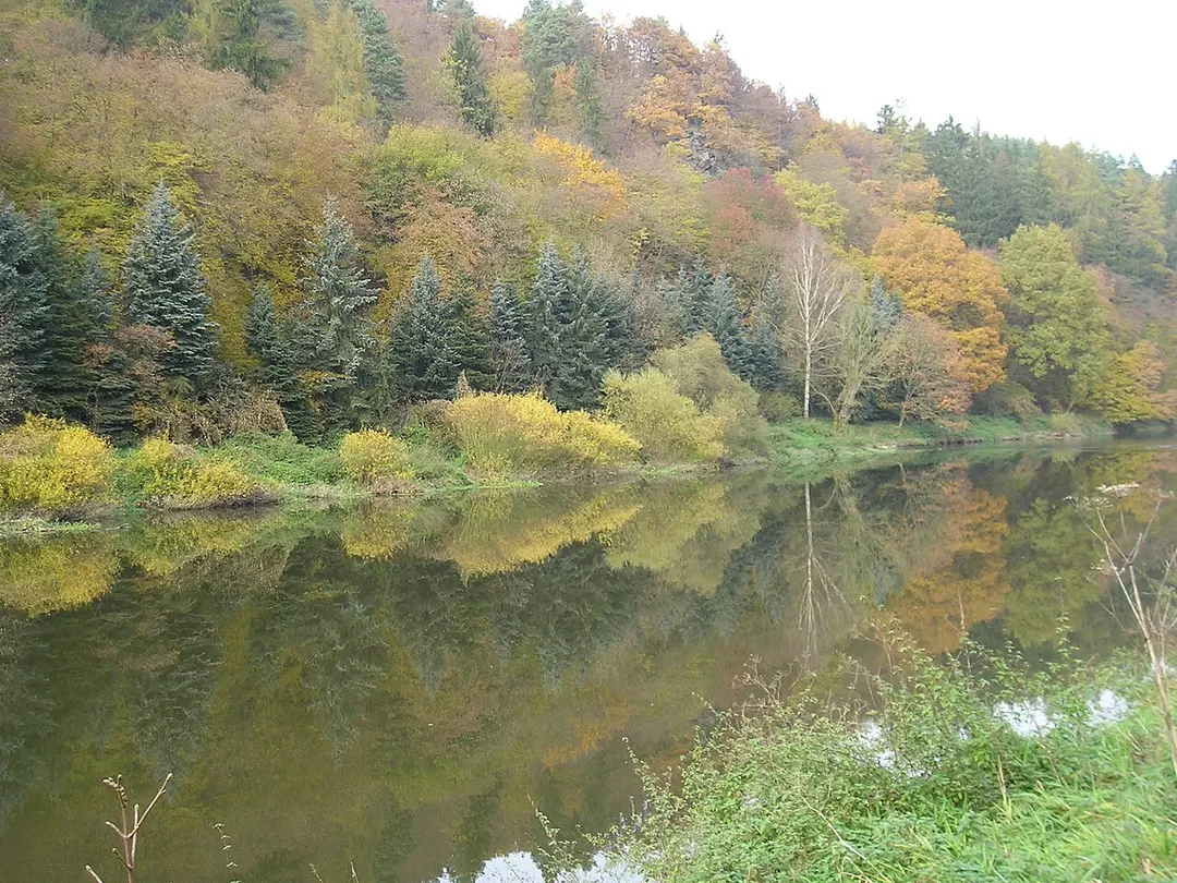 přírodní rezervace Háj