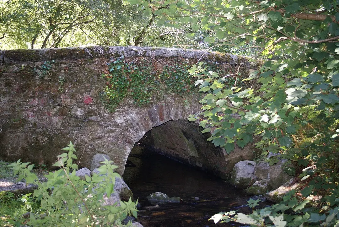 Dandy Bridge