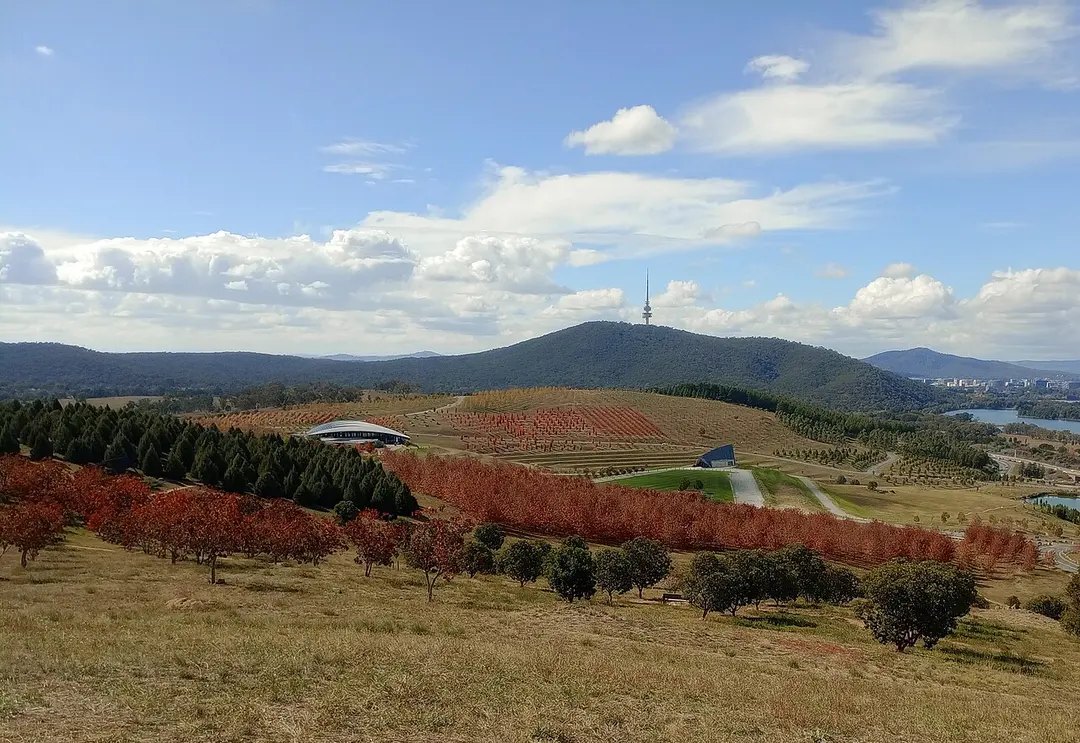 Black Mountain