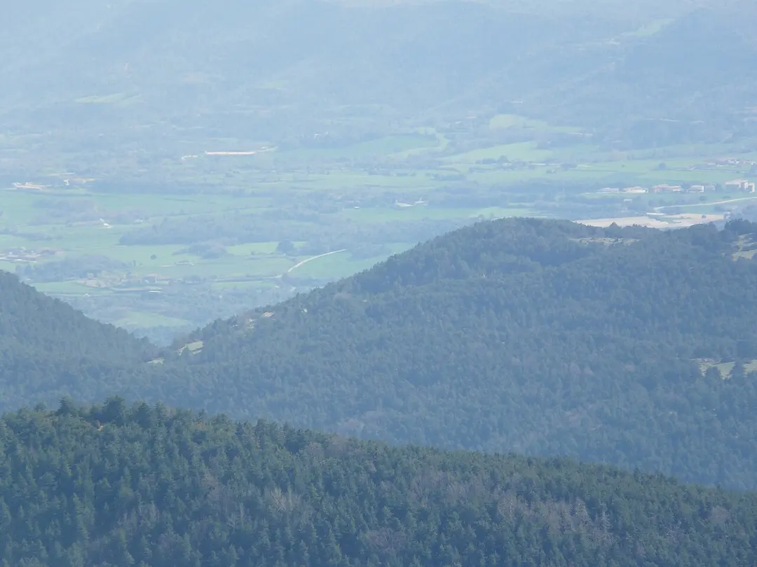 Serrat de la Llosa