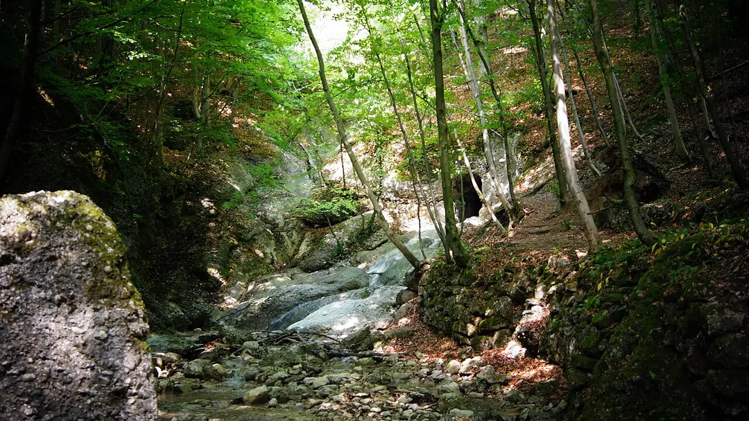 Felberbach